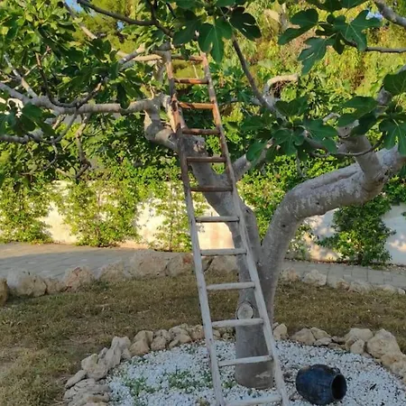 Iole - Andiamointour Campomarino (Taranto)
